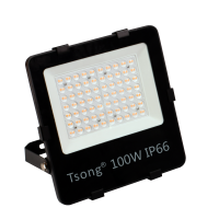 PROIECTOR LED 100W 150 LM/W CU DRIVER PHILIPS